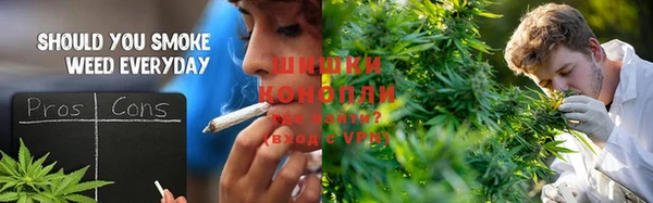 винт Арсеньев