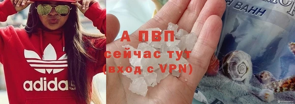 винт Арсеньев