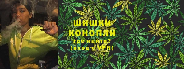 винт Арсеньев