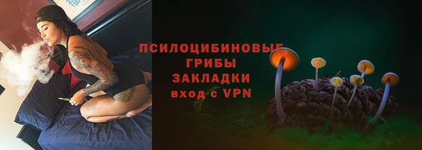 эйфоретик Аркадак