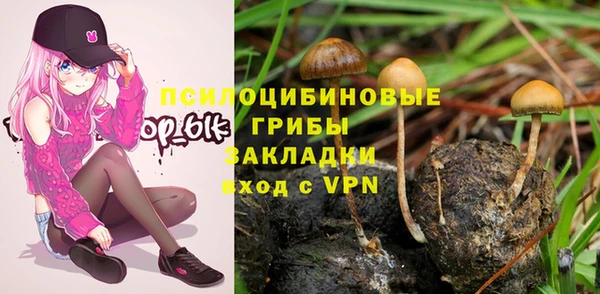 ALPHA-PVP Армянск
