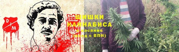 эйфоретик Аркадак