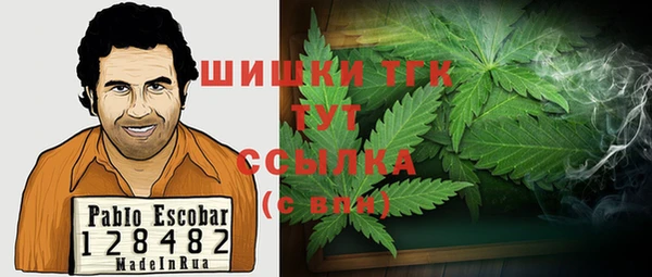 эйфоретик Аркадак
