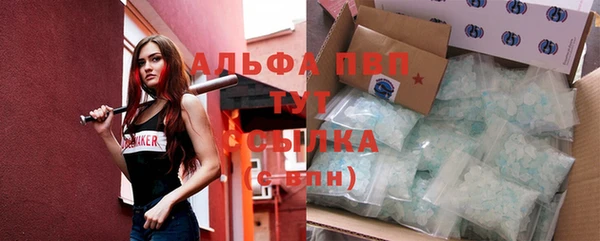 винт Арсеньев