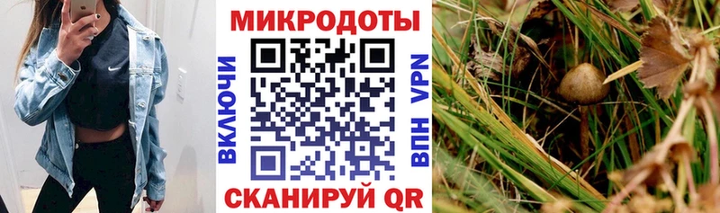 Галлюциногенные грибы Magic Shrooms  магазин  наркотиков  Жиздра 