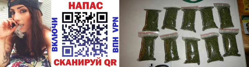 Бошки Шишки OG Kush  где купить наркоту  Жиздра 